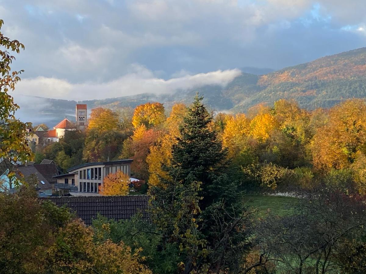 Le Moonloft Insolite Tiny-House Dans Les Arbres & 1 Seance De Sauna Pour 2 Avec Vue Panoramique Osenbach Exterior foto