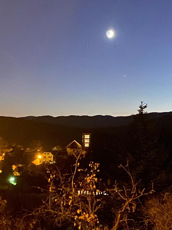 Le Moonloft Insolite Tiny-House Dans Les Arbres & 1 Seance De Sauna Pour 2 Avec Vue Panoramique Osenbach Exterior foto