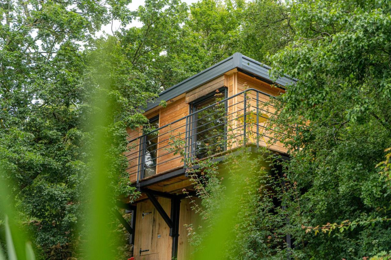 Le Moonloft Insolite Tiny-House Dans Les Arbres & 1 Seance De Sauna Pour 2 Avec Vue Panoramique Osenbach Exterior foto