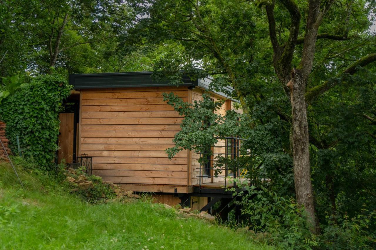 Le Moonloft Insolite Tiny-House Dans Les Arbres & 1 Seance De Sauna Pour 2 Avec Vue Panoramique Osenbach Exterior foto